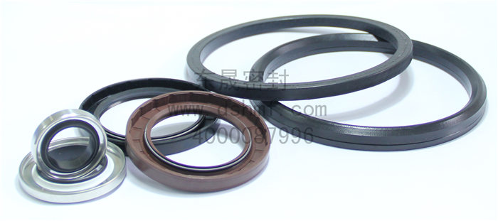 唇形密封件 油封 唇形密封件 油封