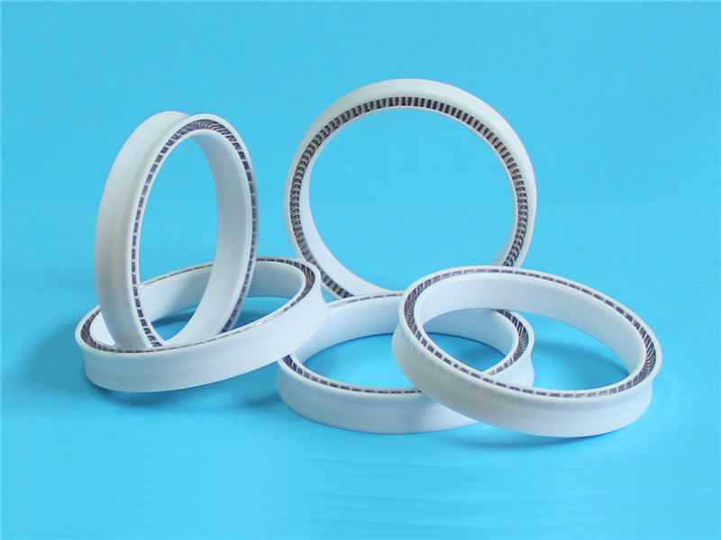 密封圈，泛塞封