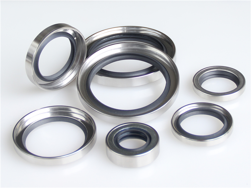 不銹鋼油封，骨架油封