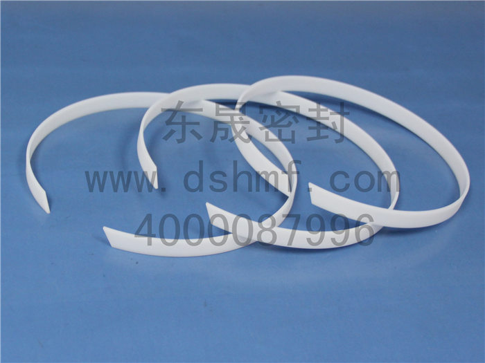 輔助密封件產(chǎn)品 輔助密封件產(chǎn)品