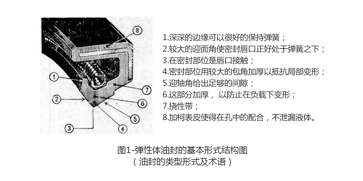 彈性體油封的基本形式結構圖