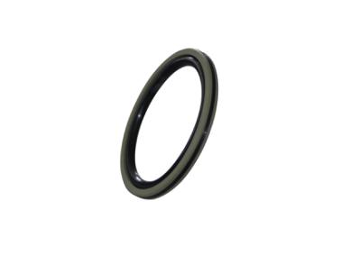 星型雙O型組合活塞密封圈DQF