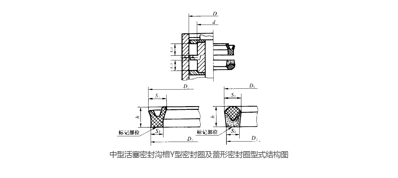 中型活塞密封溝槽Y型密封圈及蕾形密封圈型式結(jié)構(gòu)圖