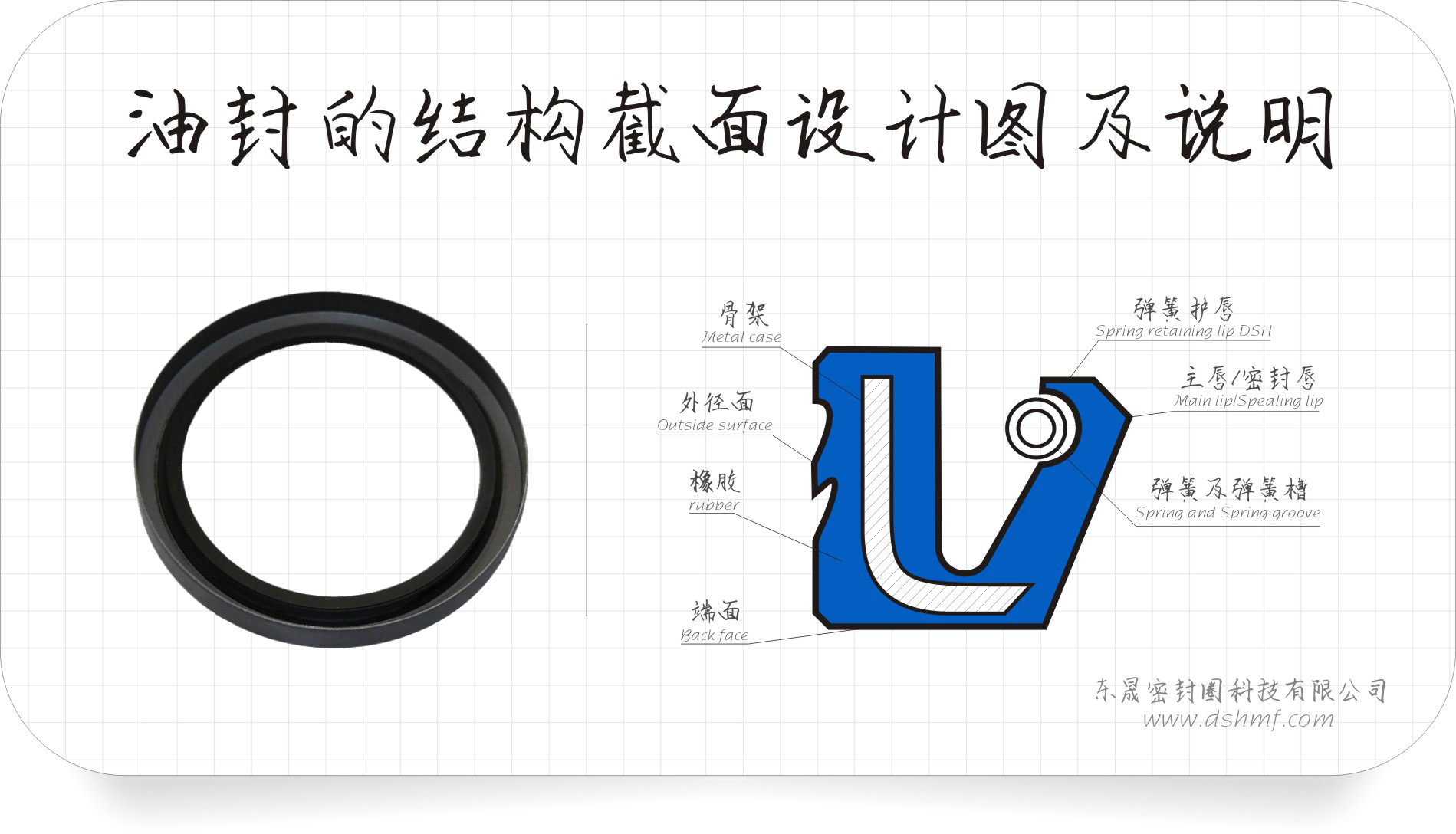 油封的結(jié)構(gòu)截面設(shè)計(jì)圖及說(shuō)明