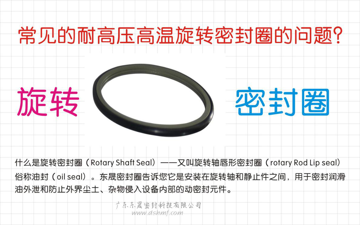 常見的耐高壓高溫旋轉密封圈的問題？之四