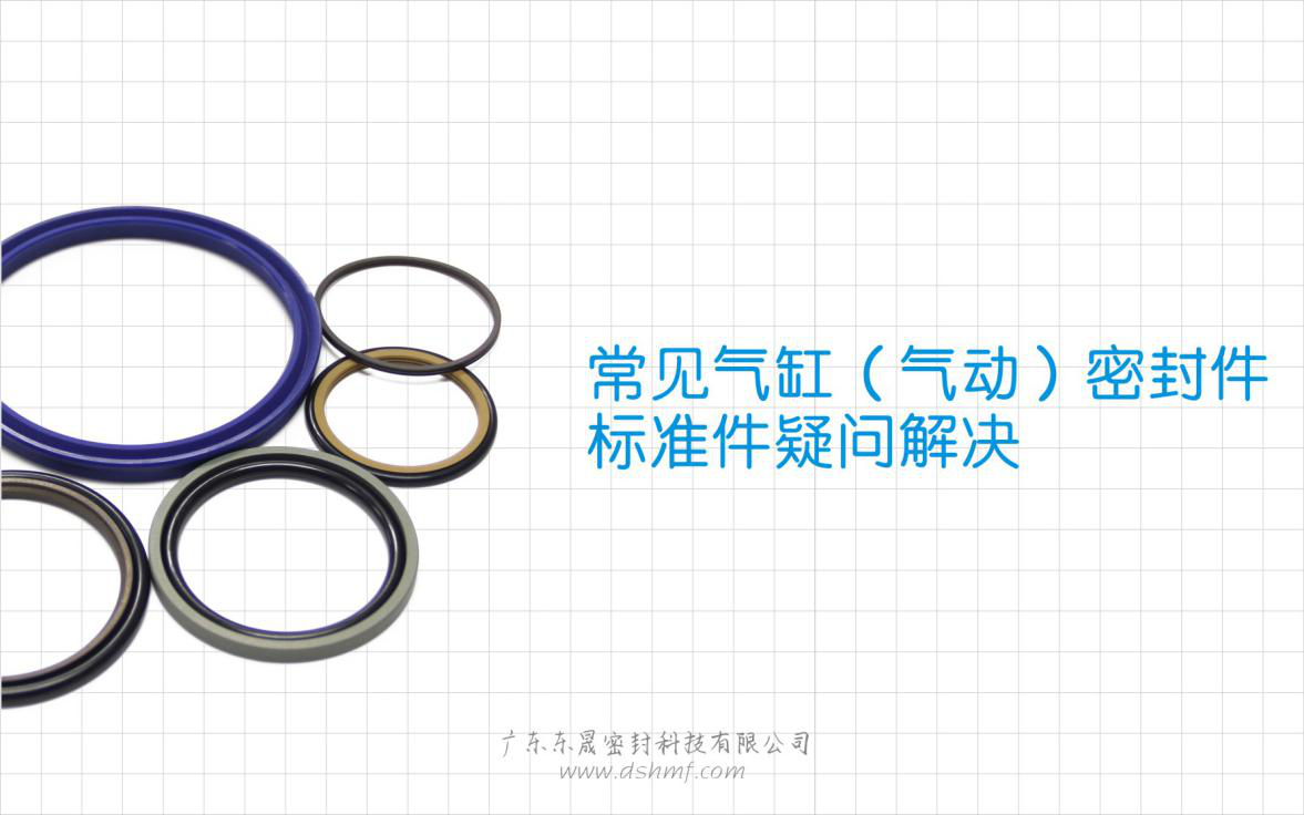 常見氣缸（氣動）密封件標準件疑問解決？