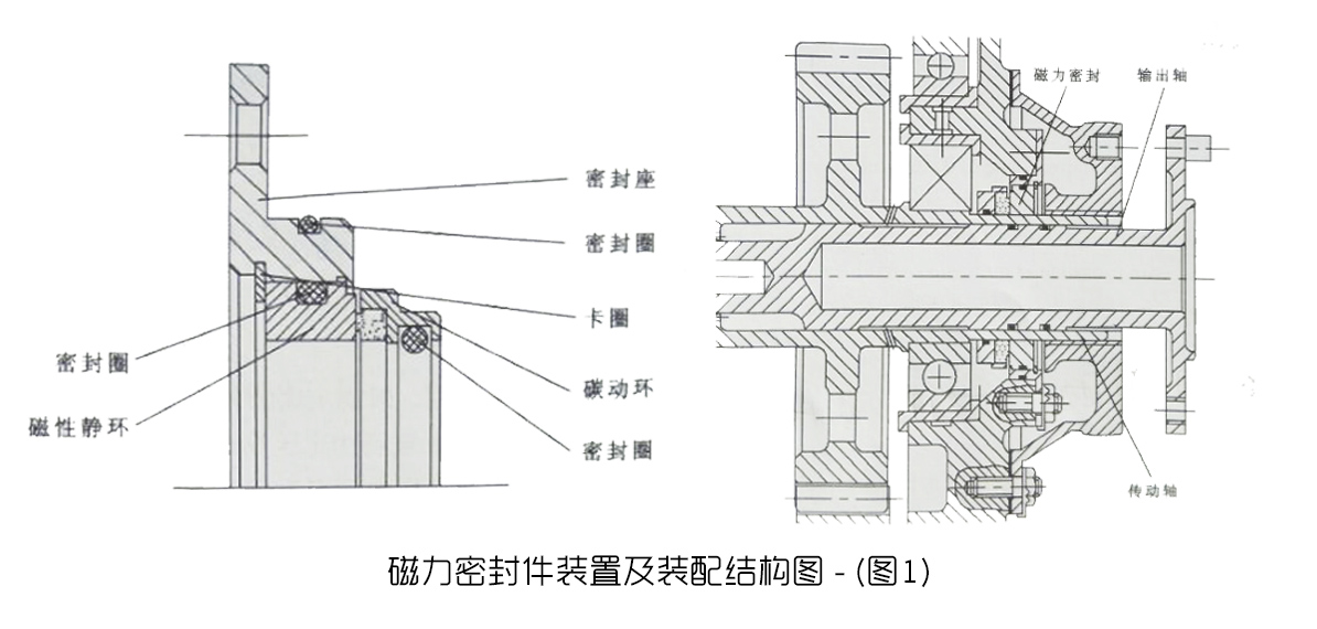 磁力密封圈的結構圖
