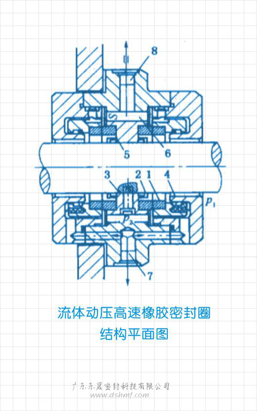 流體動壓高速橡膠密封件結(jié)構(gòu)平面圖