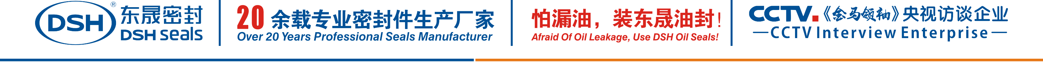怕漏油，裝東晟油封！