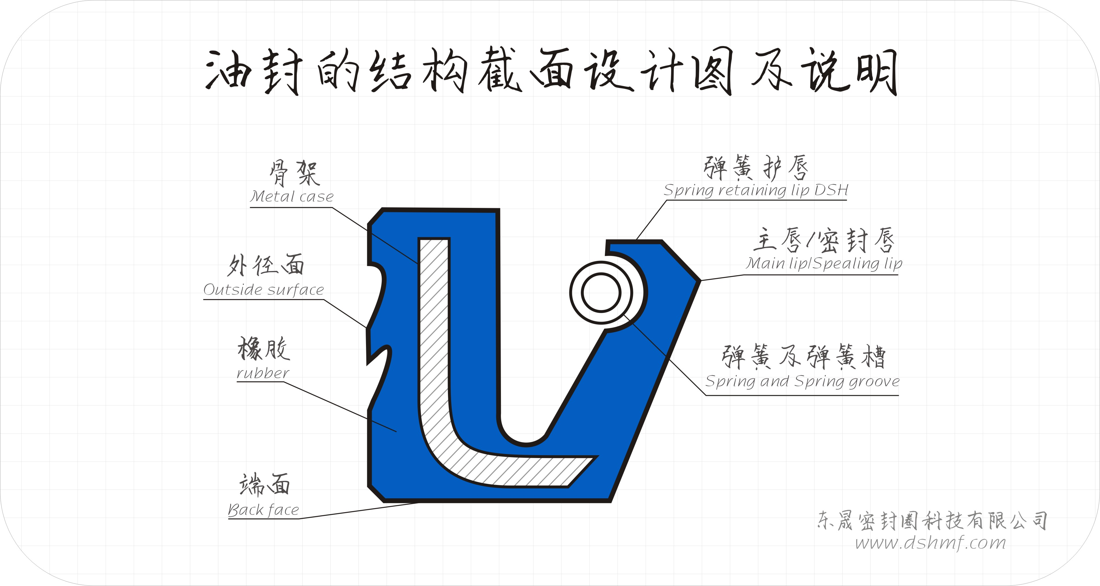 油封的結(jié)構(gòu)截面設(shè)計(jì)圖及說(shuō)明1