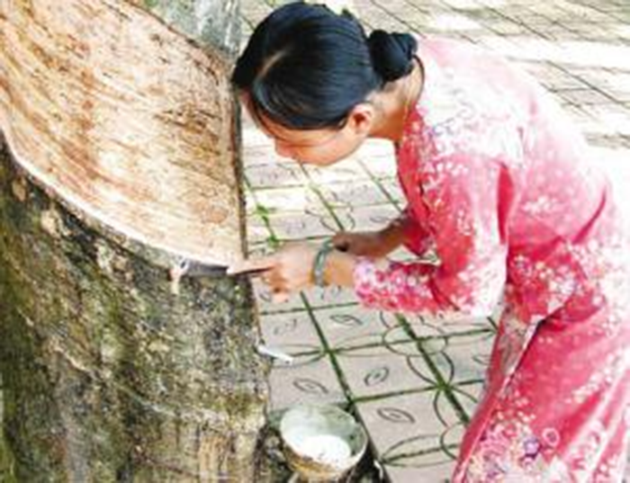 橡膠密封件材料材質分類2