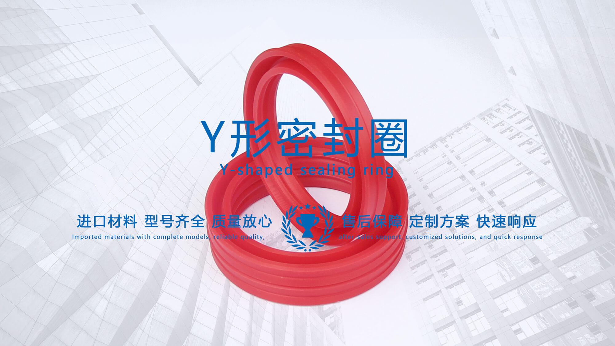 y型密封圈（又Y形密封圈，Y形圈，Y型圖或唇形密封圈，密封件油封膜片） (2)