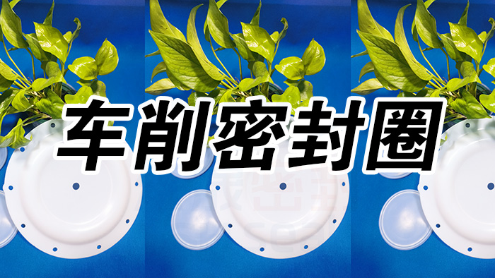 2車削密封圈，氣動隔膜泵膜片密封件