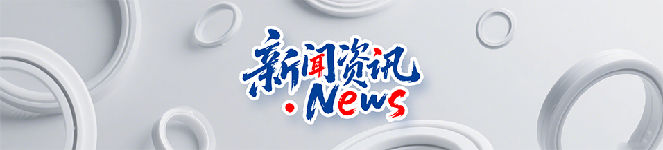 汽車打氣泵y型密封圈DYH產品案例 ? 密封材料改性關鍵技術解析！